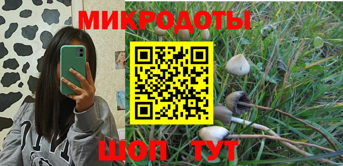 Псилоцибиновые грибы ЛСД Сафоново
